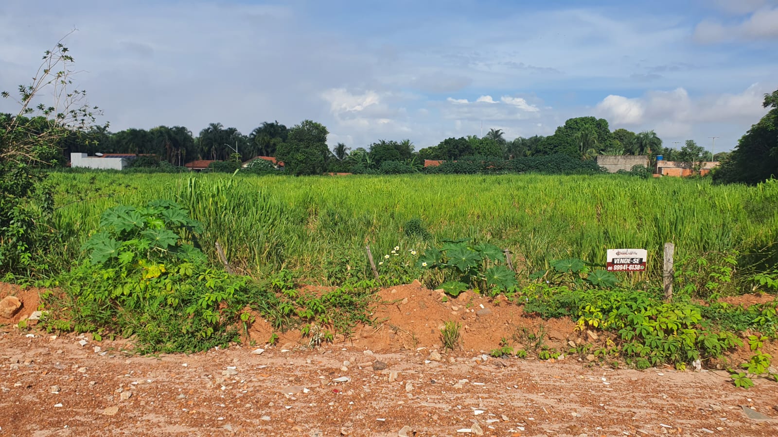 WhatsApp Image 2024-02-27 at 13.14.25 (1).jpeg